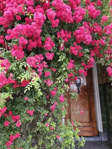 Christy 04 Weesperzijde